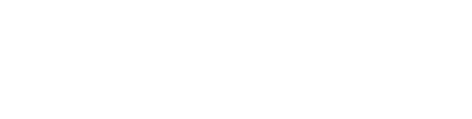 Savesa Grup — geleceğe miras